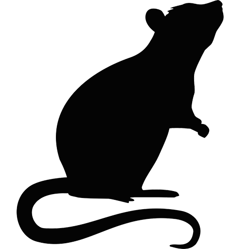 Rat black silhouetted icon