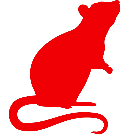 white rat icon