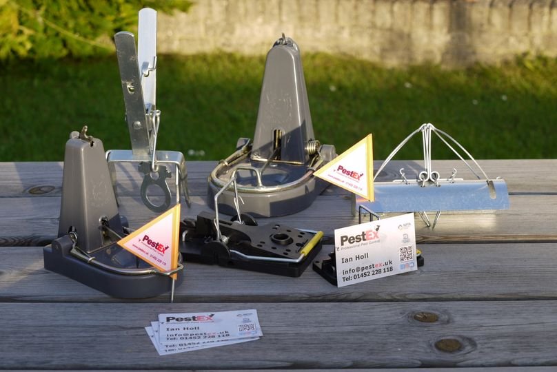 Various types of rodent traps on display