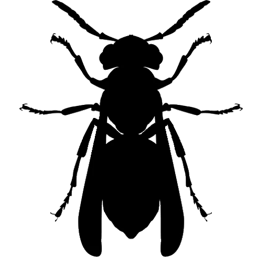 Wasp black silohette icon