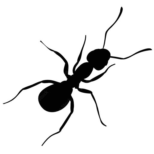 Ant black silohette icon
