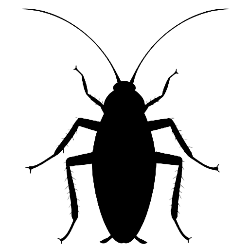 Cockroach black silohette icon