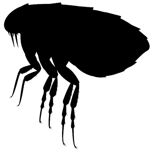 Flea black silohette icon