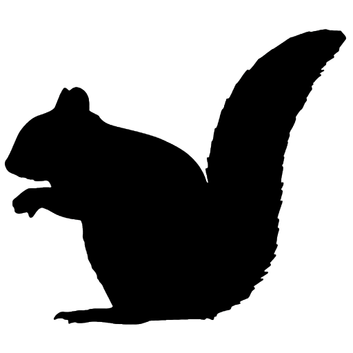 Grey squirrel black silohette icon