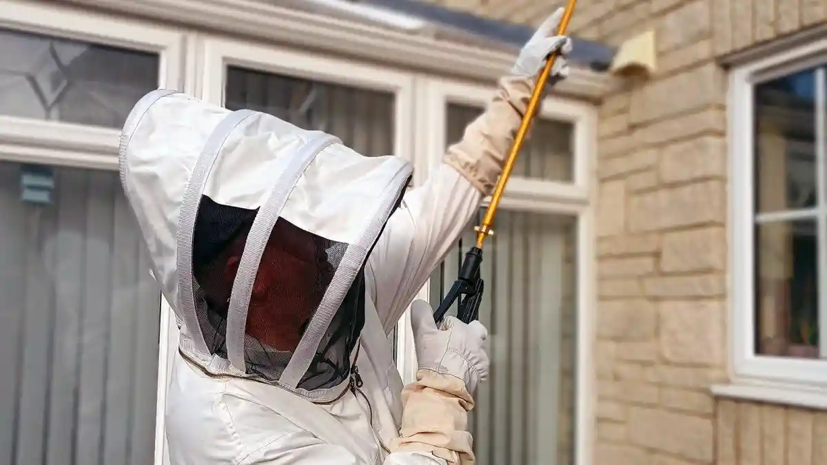 Pest controller in a bee suit treating a wasp nest