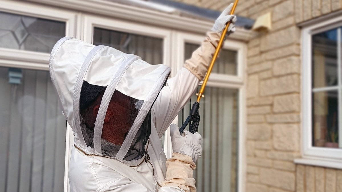 A pest controller in a bee suit with a lance in hand is treating a wasp's nest on a house's roof