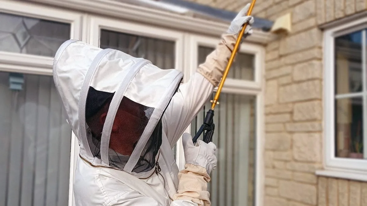 bee-suit A pest controller in a bee suit with a lance in hand is treating a wasp's nest on a house's roof