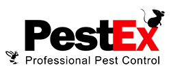 PestEx professional pest control logo