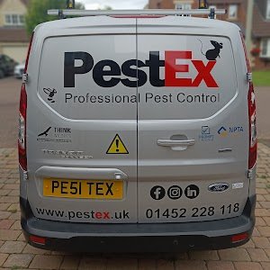 PestEx Professional Pest Control place picture